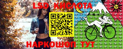 PSILOCYBIN Аргун
