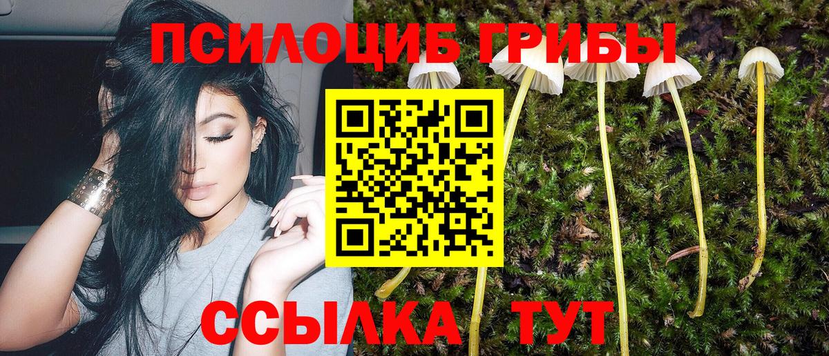 Белая Калитва  Галлюциногенные грибы мухоморы  Вход с VPN  Псилоцибиновые грибы MAGIC MUSHROOMS 